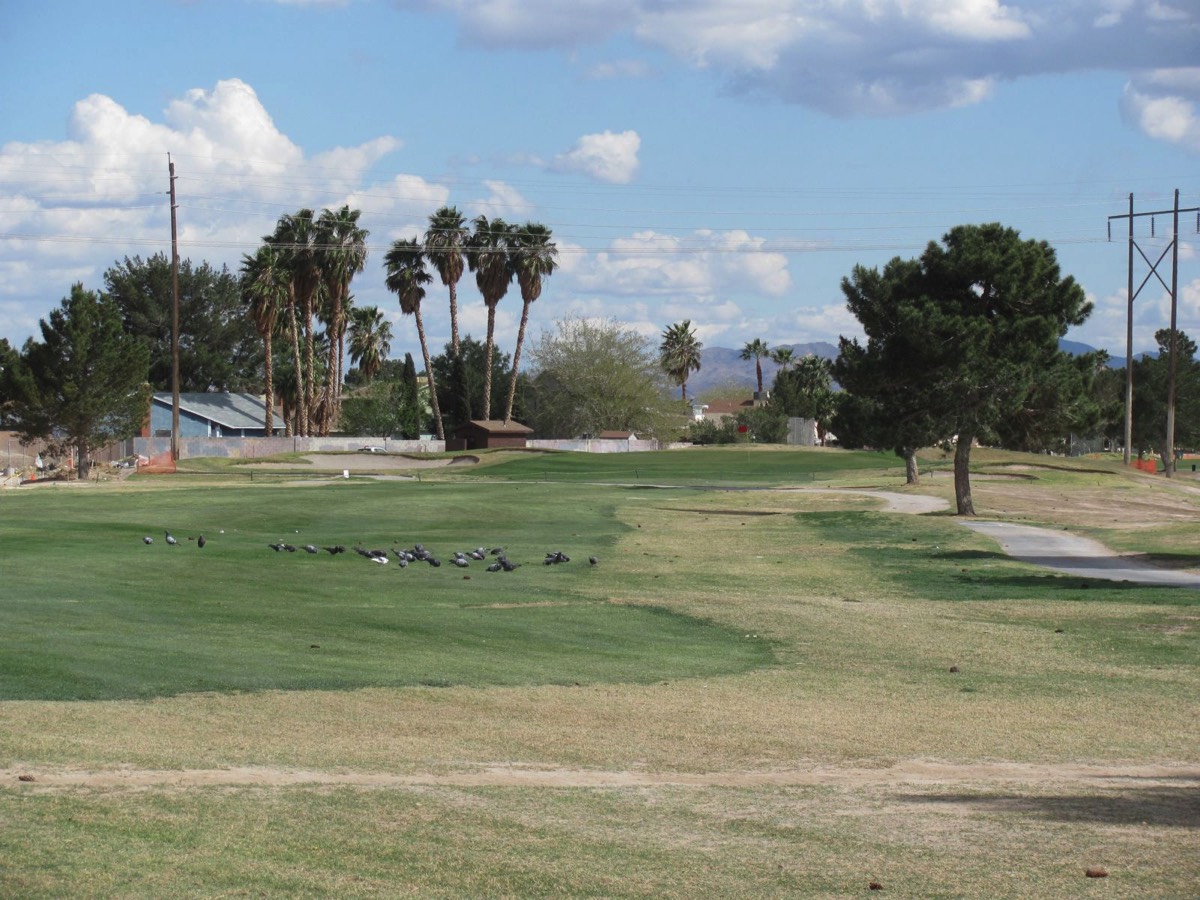 A 2009 look at the hole Mike Austin hit his famous 515-yard drive on